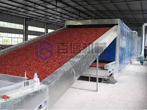 辣椒烘干現場展示