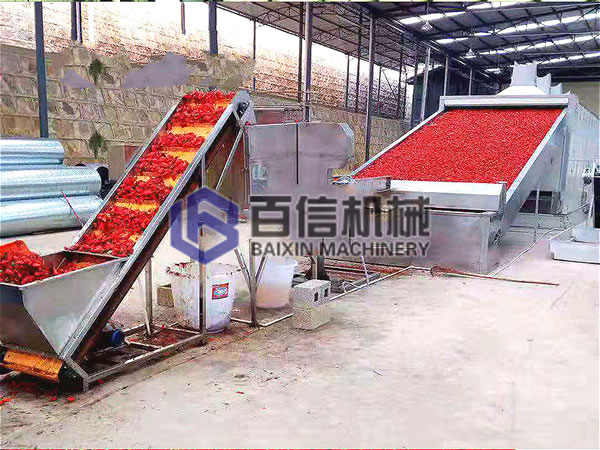 辣椒烘干現場展示