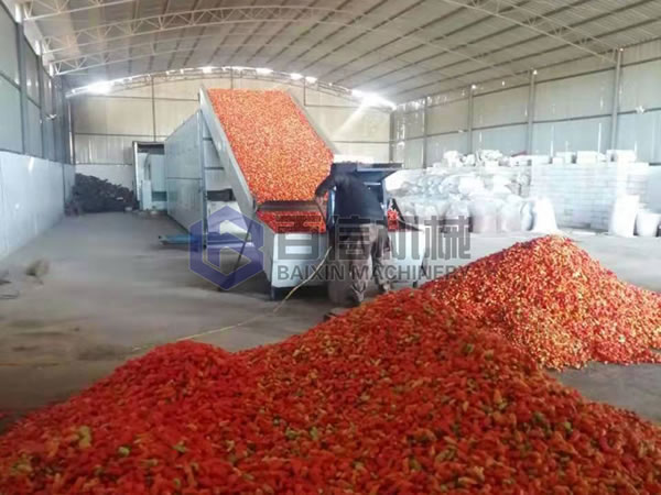 中型網帶辣椒烘干機案例