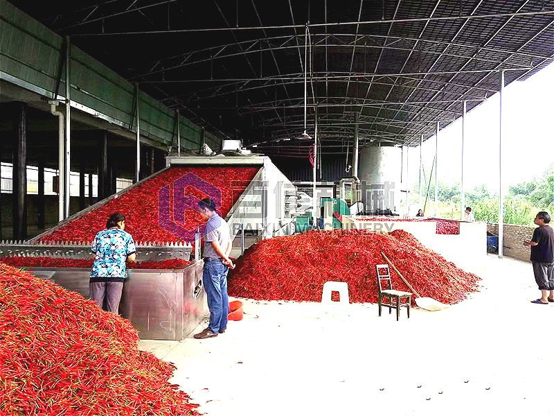 網帶辣椒烘干機