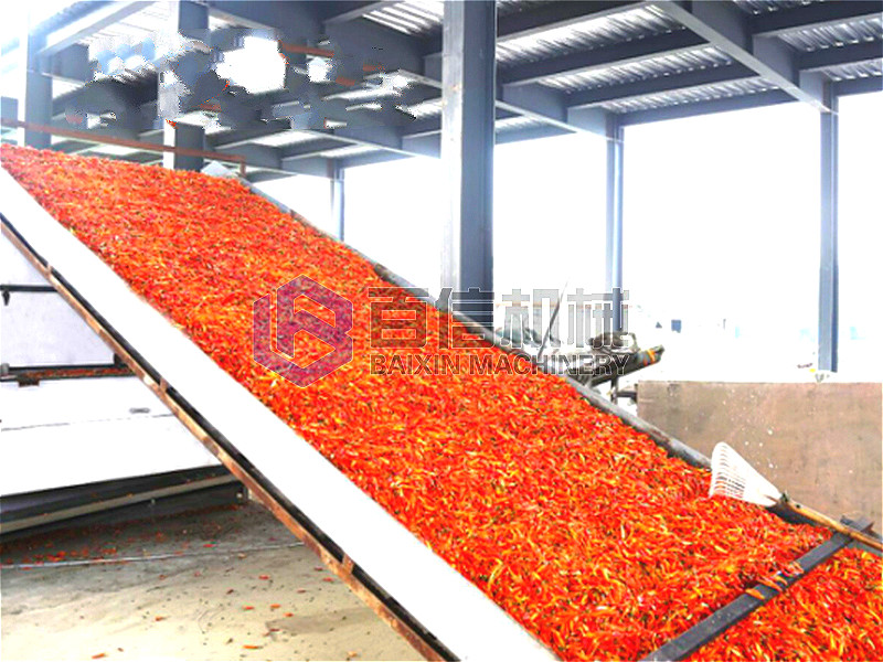 必成之心鑄就品質——湖北猴頭菇專用辣椒烘干生產線引領行業變革